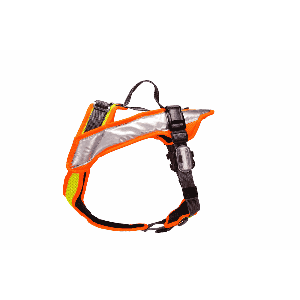 Vary Night, bright yellow/orange