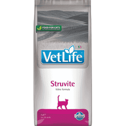 Feline Struvite