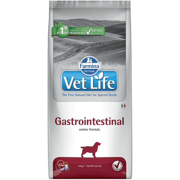 Canine Gastrointestinal