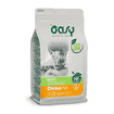 Cat Adult Sterilized