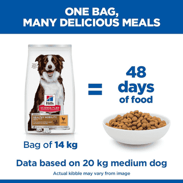 Canine Adult Healthy Mobility Medium Breed