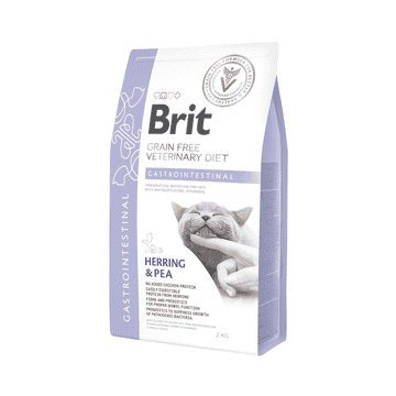 Vet Diet - Cat Gastrointestinal