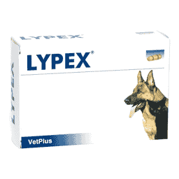 Lypex