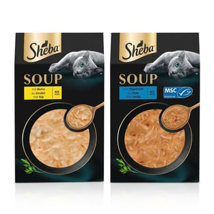 Soupe
