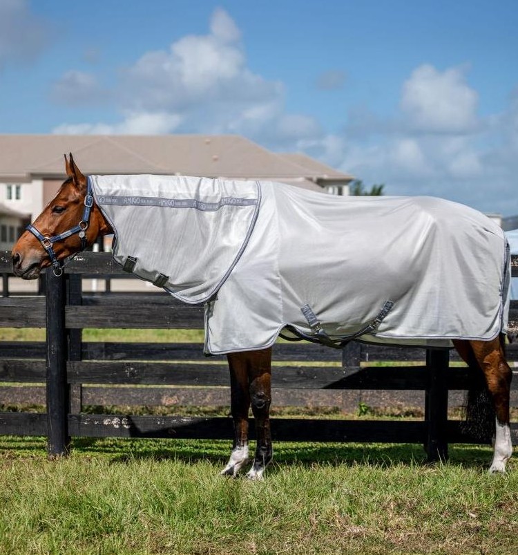 Amigo Bug Rug Plus Fly Rug