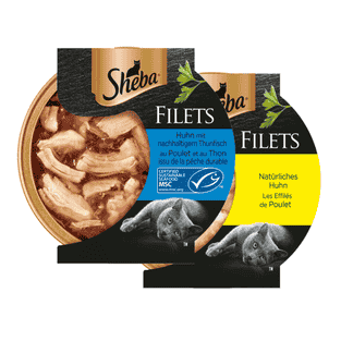 Feine Filets in Sauce