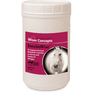 InsulinWise