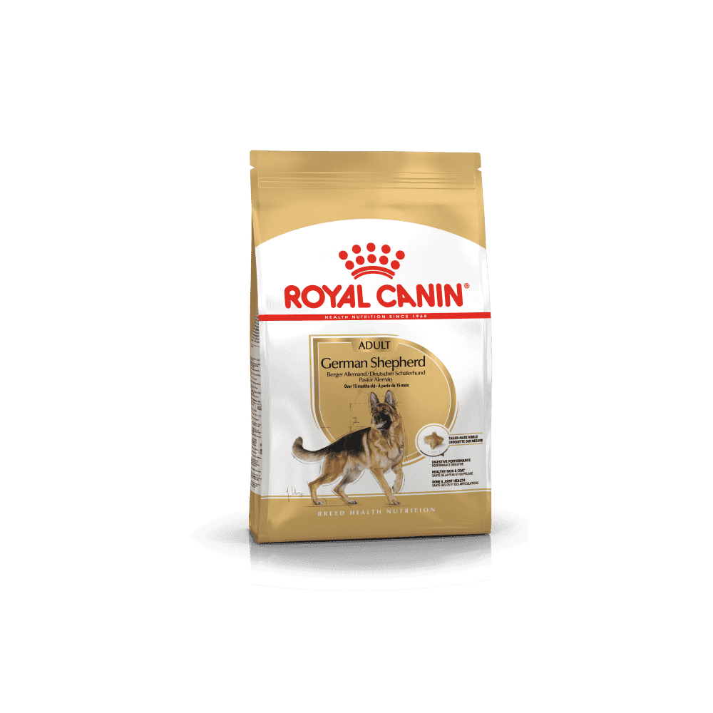 Berger Allemand