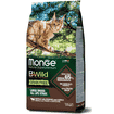 Grain Free Large Breed All Life Stage Buffalo