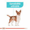 Urinary Care Mini