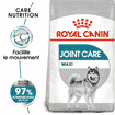 Joint Care Maxi