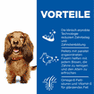 Canine Oral Care Adult