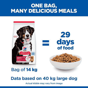 Canine Adult Large Breed Lamb & Rice 12 + 2 kg Bonus Bag