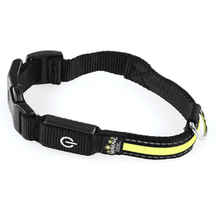 swisspet Fluo Leuchthalsband