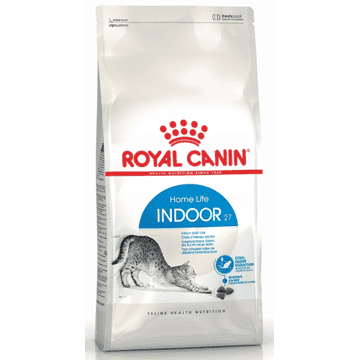 Indoor 27 Cat