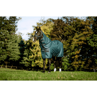 Amigo Ripstop 900D Pasture Rug green/silver