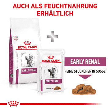 Early Renal Cat