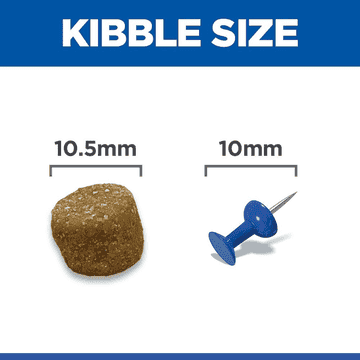 Canine Adult Light Medium Breed