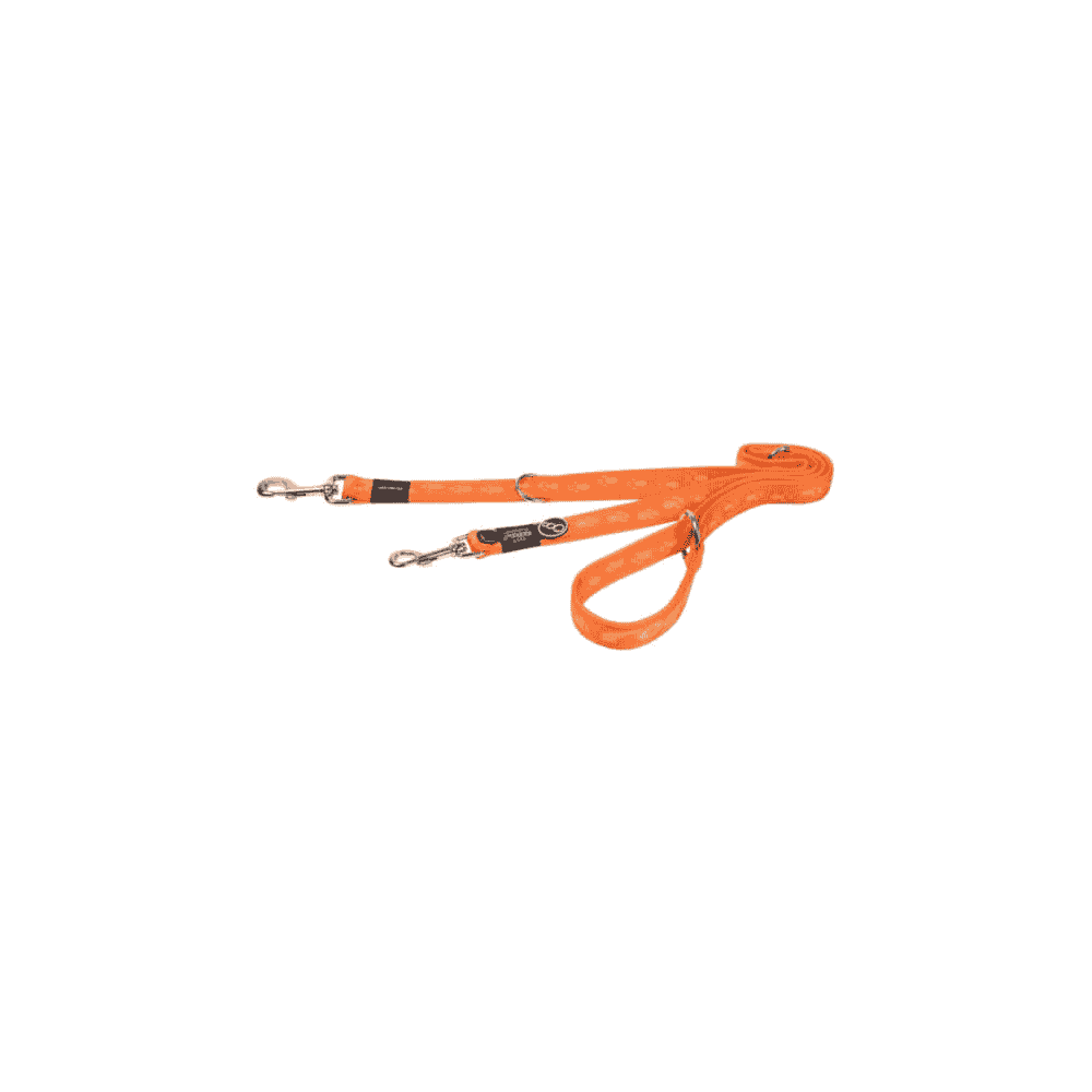 Dog leash Alpinist orange