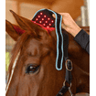 Health + Care FlexPad infrarouge