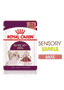 Sensory SMELL (Morceaux en sauce) Sachets