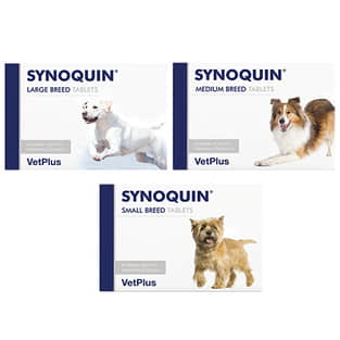 Synoquin