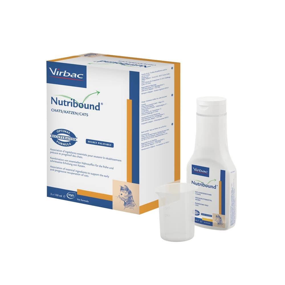 Nutribound Chat