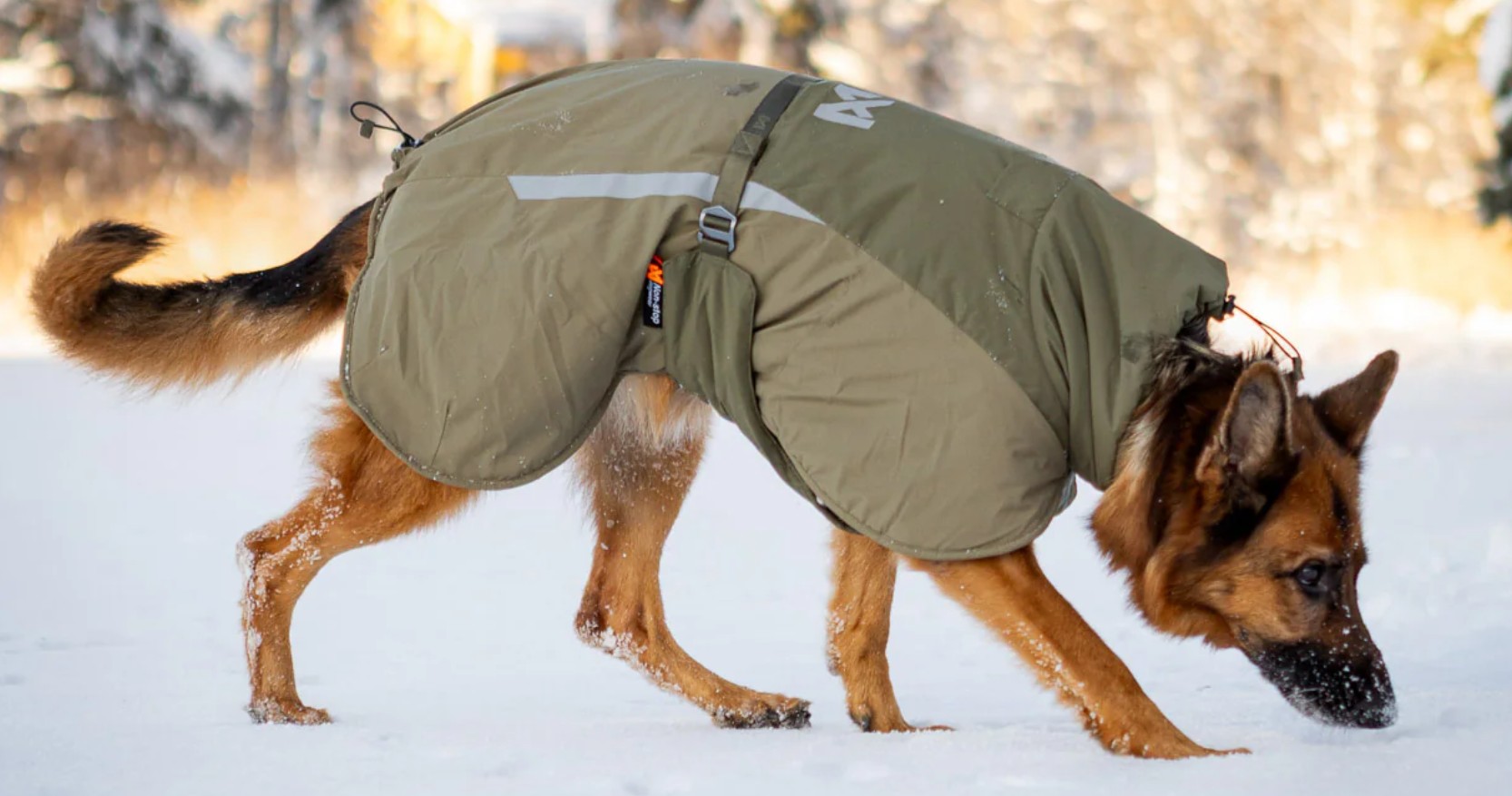 Glacier wool jacket 3.0, green