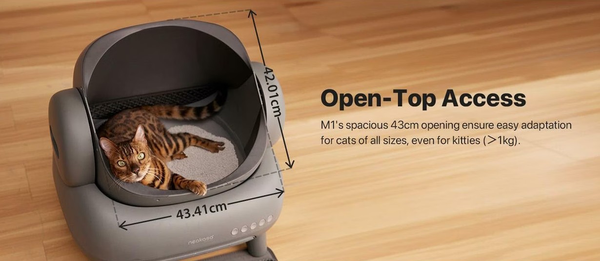 M1 Litter Box