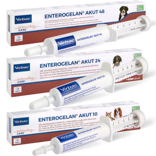 Enterogelan Akut