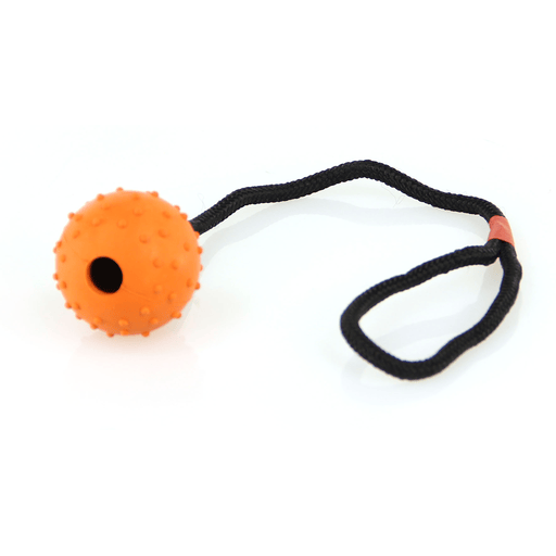Spielball Lungo mit Noppen, am Seil