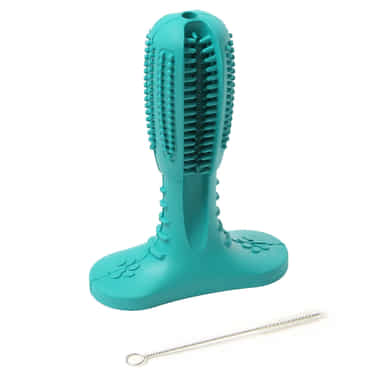 Dental-Spielzeug Teeth & Play