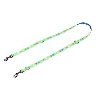 Lead Paws & Love, green