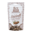 Care Cat Snack Hairball