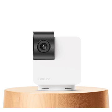Cam 360 Haustierkamera