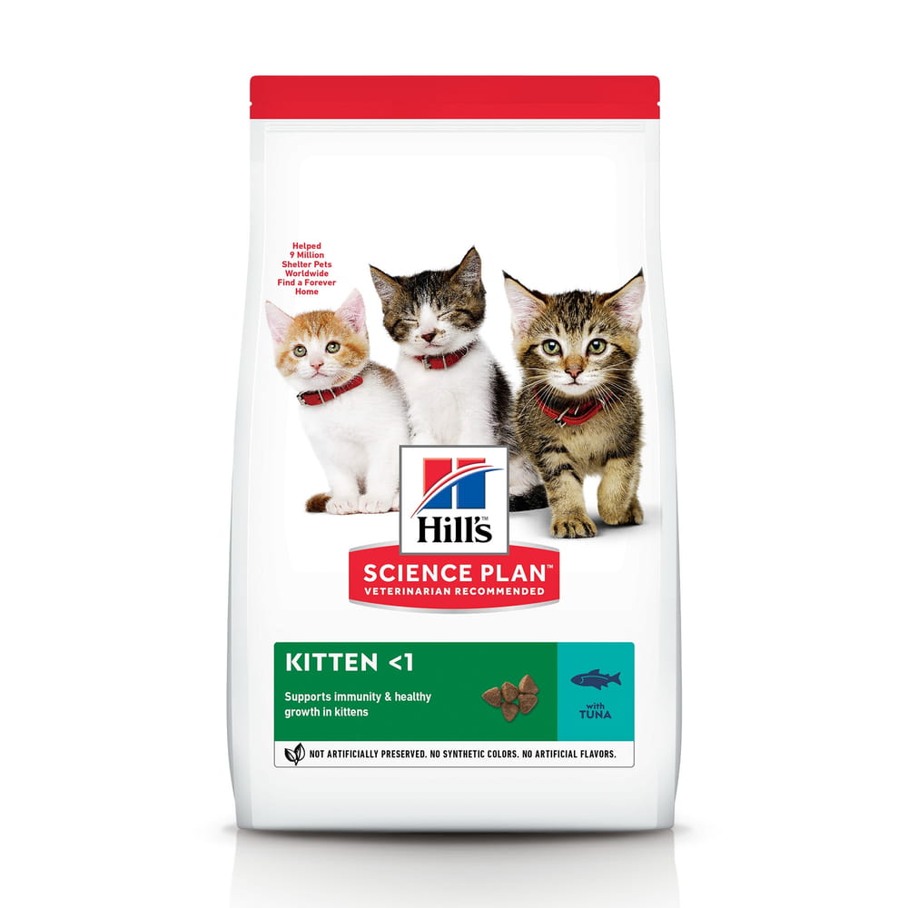 Kitten Tuna (neu: Salmon!)