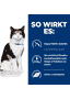 Feline y/d Thyroid Care - Dose