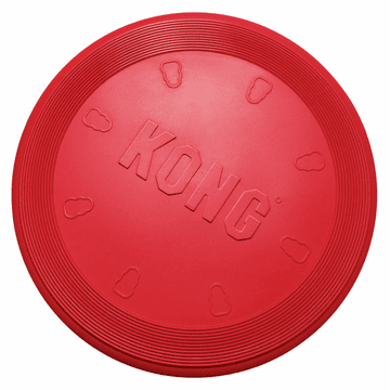KONG Flyer S