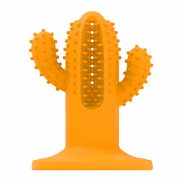 Dental Chew Cactus Rubber