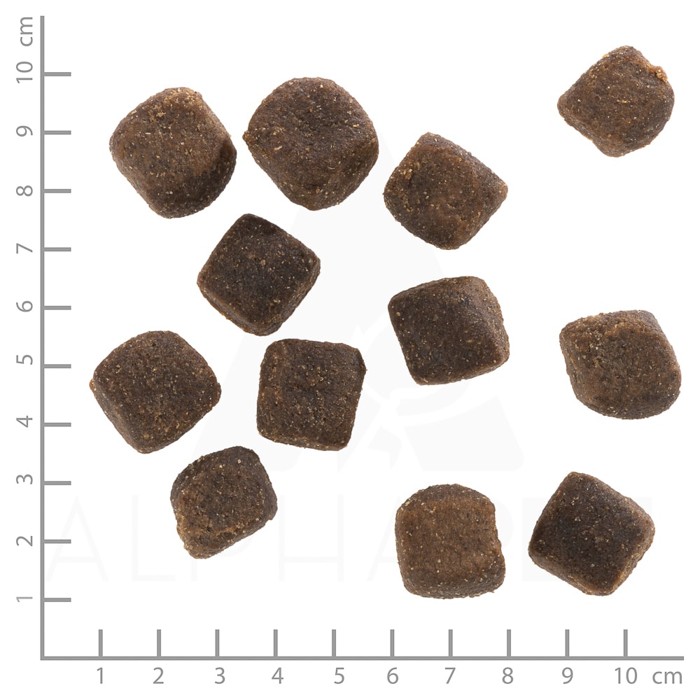 Dark Forest Cracker