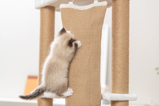 Arbre à chat Active