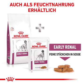 Early Renal Dog