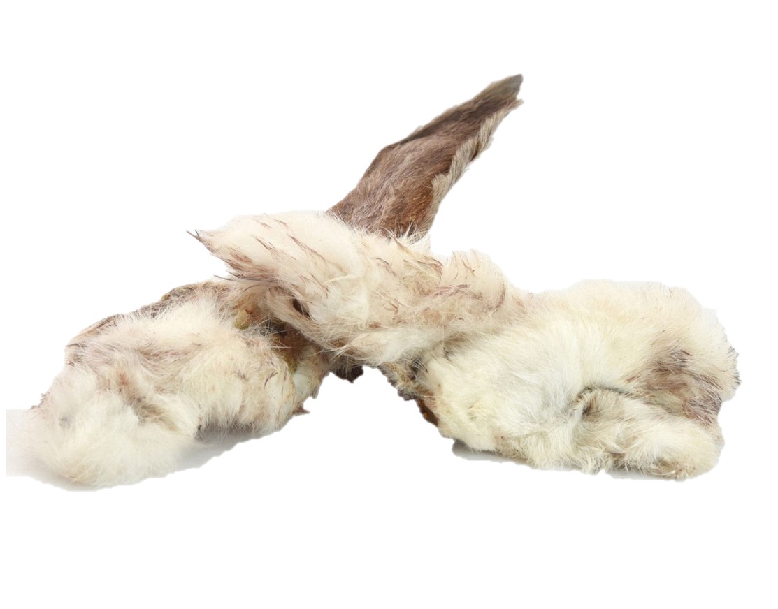 Dog Snack Rabbit Ears with Coat