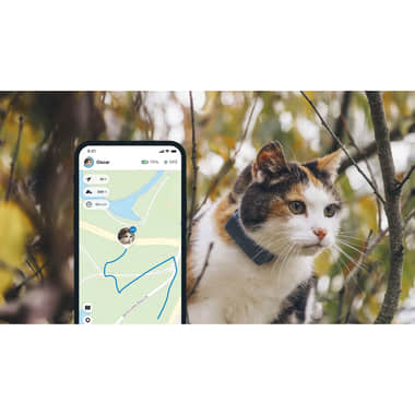 Tractive GPS Tracker für Katzen kaufen bei