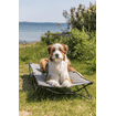 Camping-Bett für Hunde