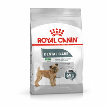 Dental Care Mini