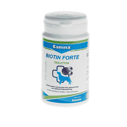 Biotin Forte comprimés