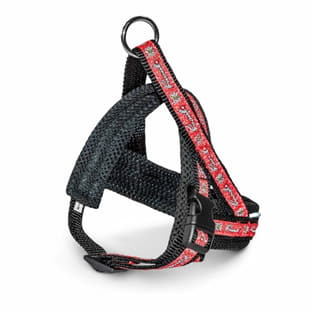 Harnais Nordic mini Swiss rouge