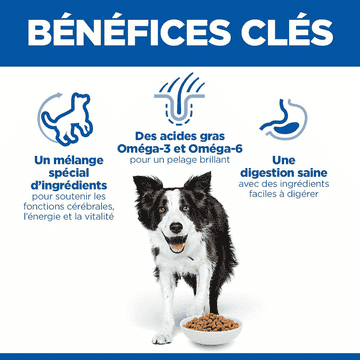 Canine Senior Vitality 7+ Medium Breed