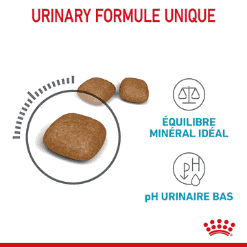 Urinary Care Cat